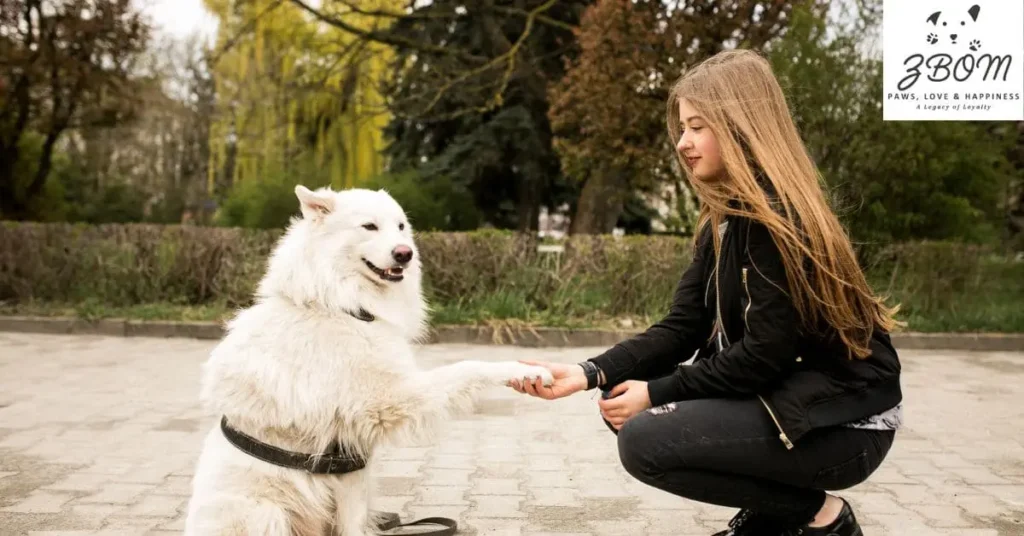 our guardianship process and adoption standards