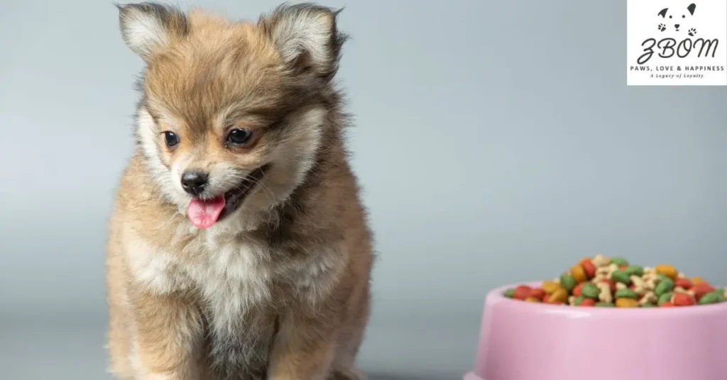 professional training investment