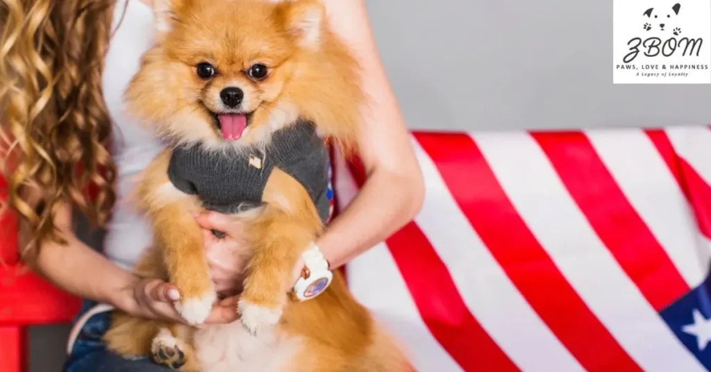 rare cases where raising pomeranian siblings can work
