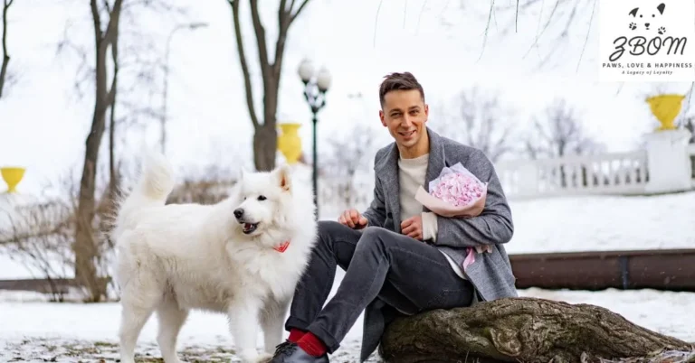 Teacup Coton De Tulear Price