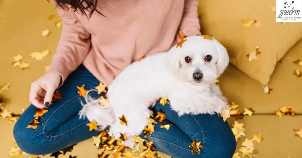 Understanding the Teacup Poodle