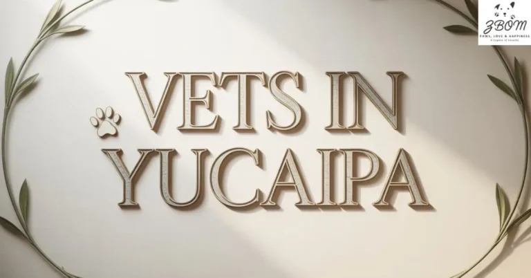 Vets in Yucaipa