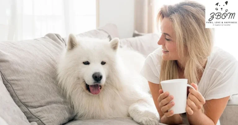 where can i buy a teacup puppy