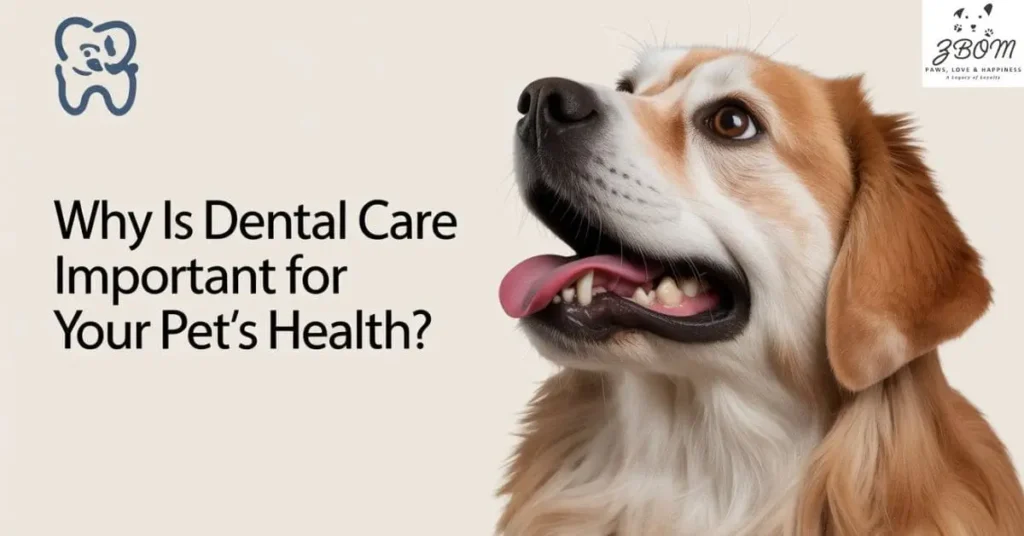 Why Is Dental Care Important for Your Pet's Health