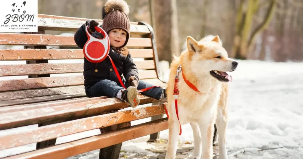 How to Find the Best Rolly Pups Prices