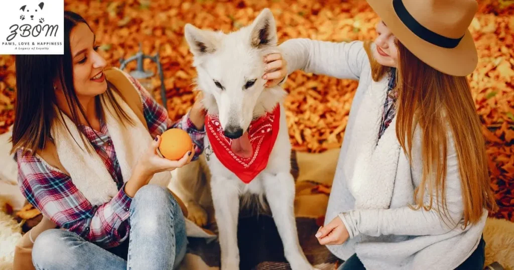 Making Your Final Decision